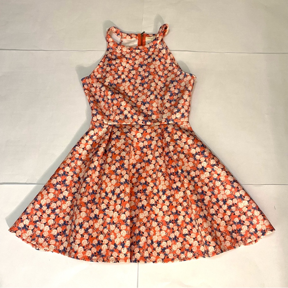 Copper Key  Floral Sleeveless Dress. Pink and Blue